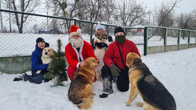 Новини Харкова: у центрі тварин провели святковий захід